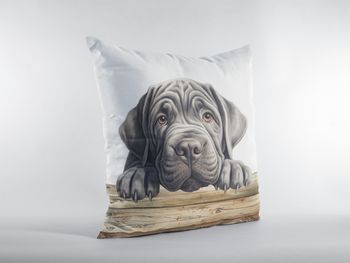 P-8630-neapolitan mastiff